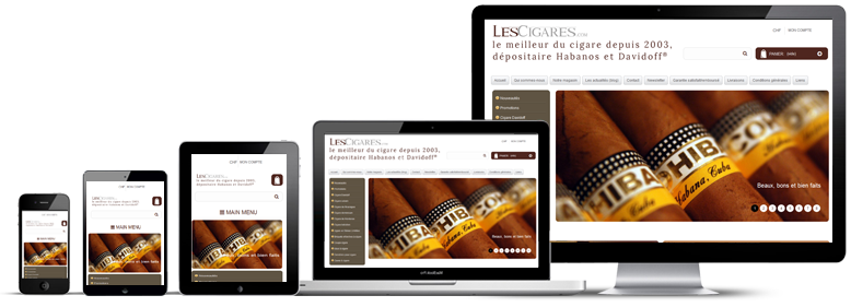 https://www.web2007.fr/img/cms/portfolio-11.png
