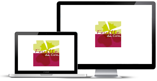 https://www.web2007.fr/img/cms/portfolio-132.png