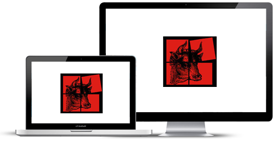 https://www.web2007.fr/img/cms/portfolio-183.png