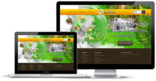 https://www.web2007.fr/img/cms/portfolio-41.png