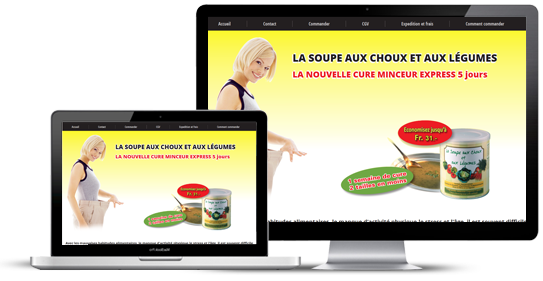 https://www.web2007.fr/img/cms/portfolio-93.png